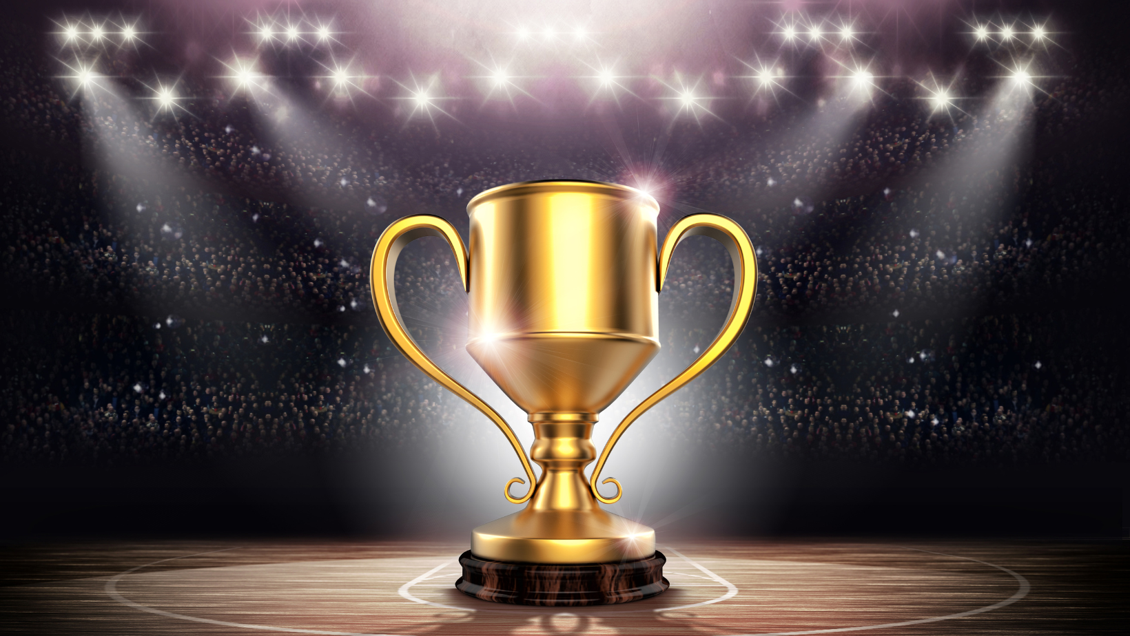PERKOM ACHIEVERS OUTSTANDING IBM STORAGE PARTNER